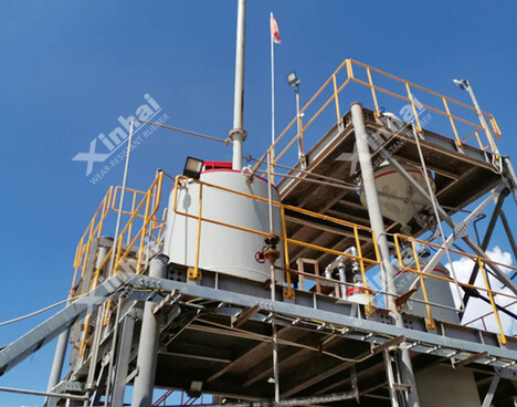 Indonesia 100t/d Gold Mineral Processing Plant
